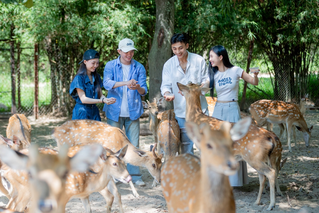 Khu vườn thú mở