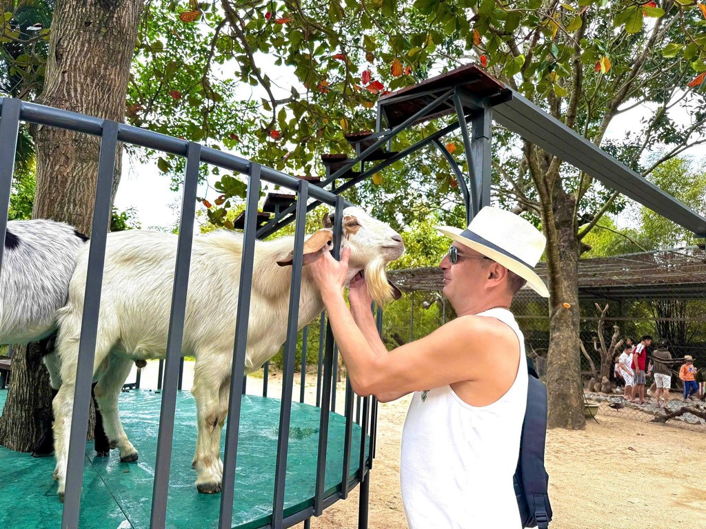 Dê du hành trên cây